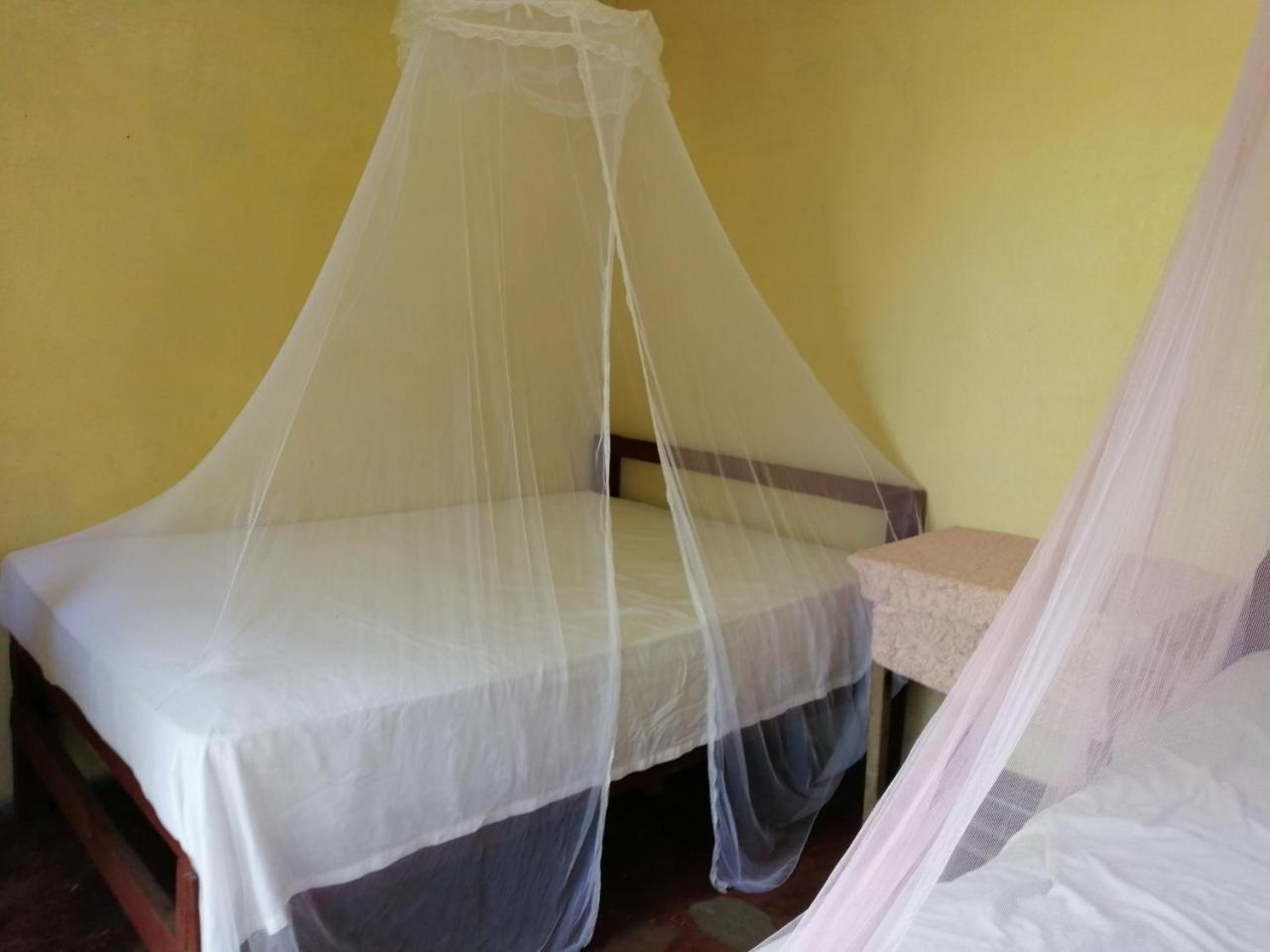 Hostal La Gloria Mérida Extérieur photo